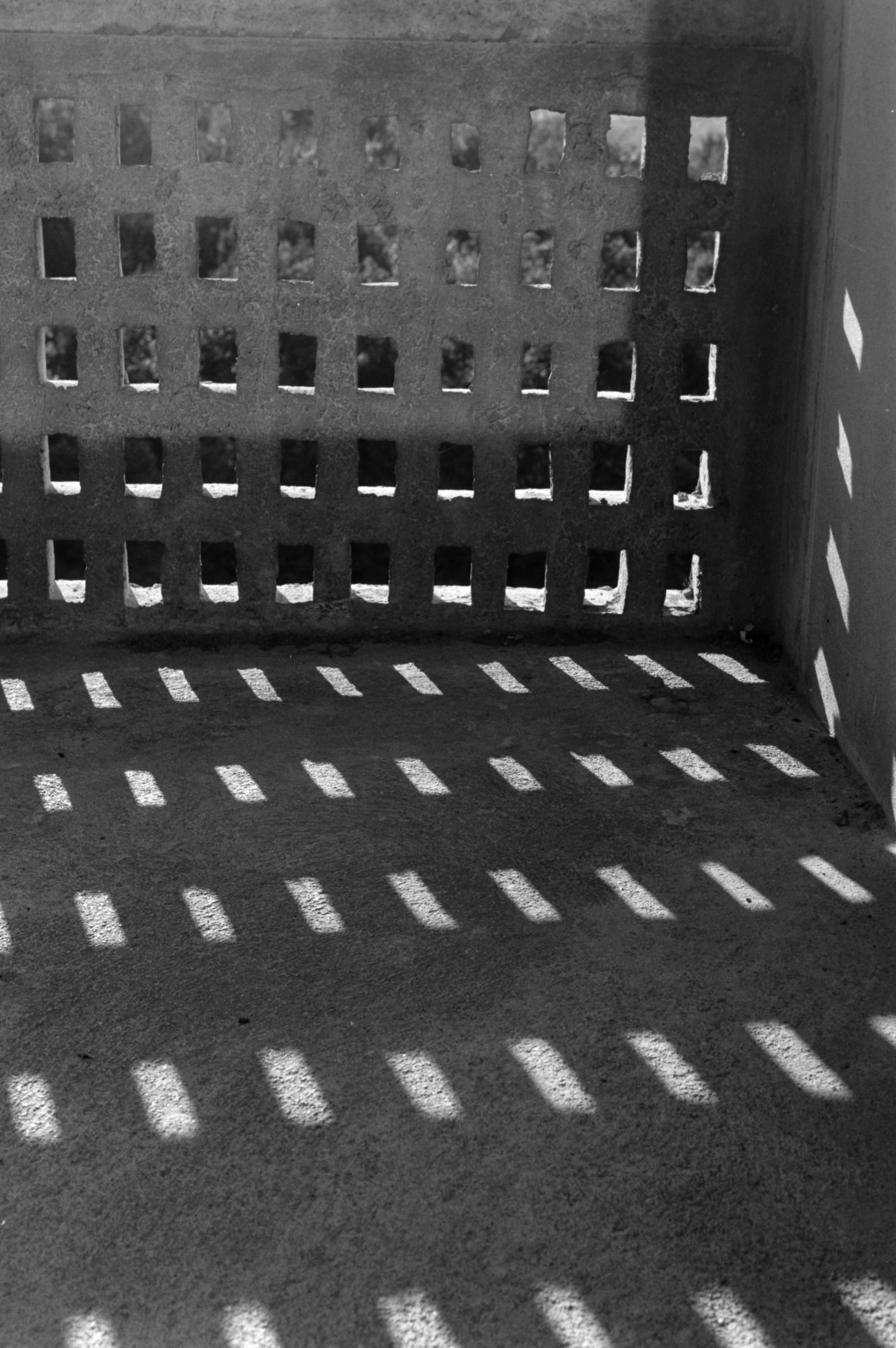 AHP F1993 08 003 sc240823 img05 NLP